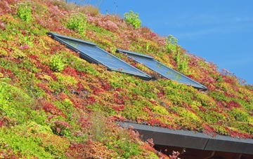 Eddlewood living roof systems