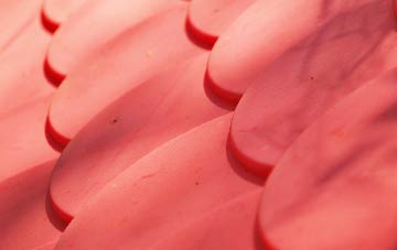 Eddlewood plastic roof costs