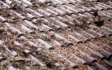 Eddlewood roof cleaning companies