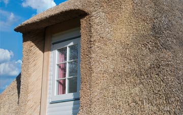 Eddlewood thatch roof disadvantages