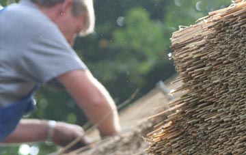 professional Eddlewood thatchers