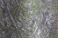 Eddlewood fibreglass roof work